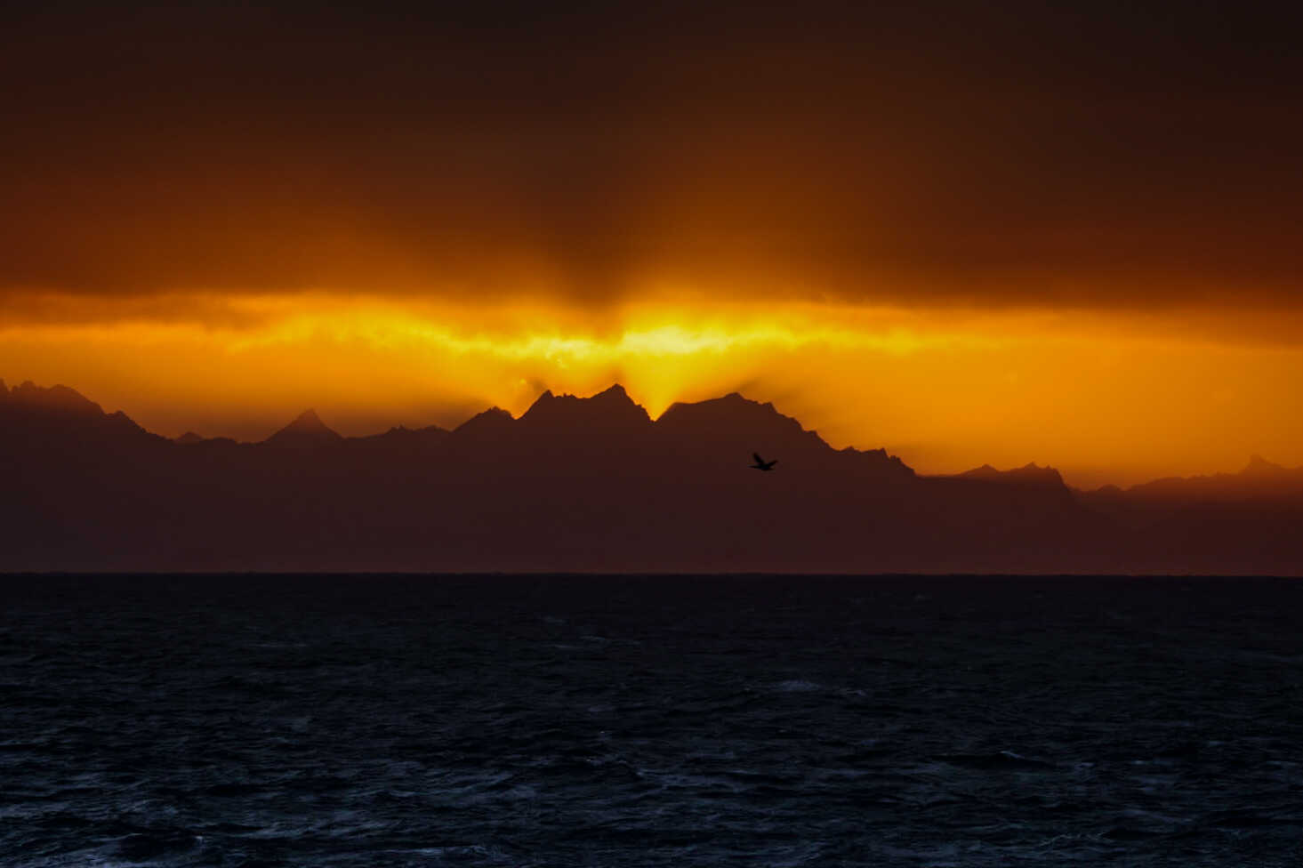 "I sincerely think that the science conducted on this voyage by these dedicated people has as much aesthetic and cultural significance as painting a mural, composing a symphony, or making a film." A still from 'Antarctic Voyage,' a film by Kevin Schreck. Photo courtesy of Kevin Schreck