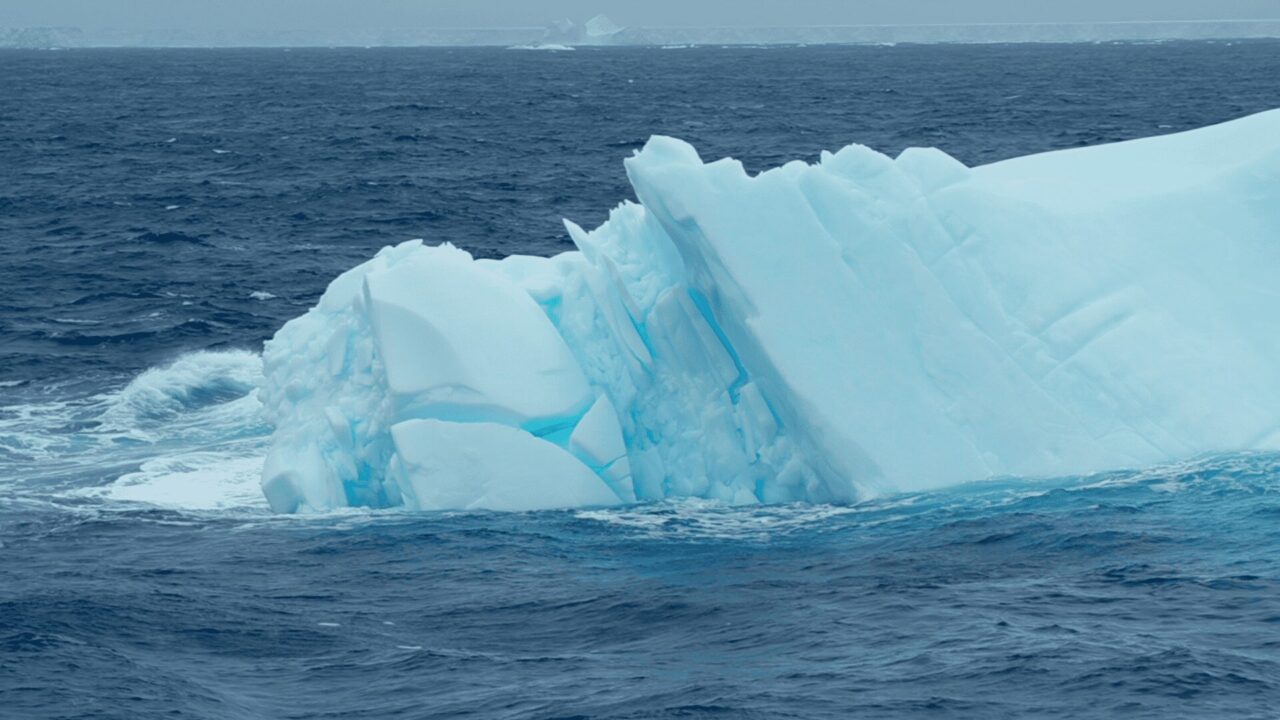 "I hope people get that sense of awe and connection with nature through this film, even via their screens at home." A still from 'Antarctic Voyage,' a film by Kevin Schreck. Photo courtesy of Kevin Schreck